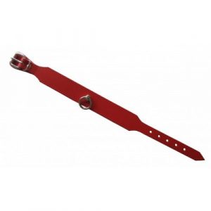 Leder Halsband „Passion“ mit Ring der O. 100% Nappaleder L/XL (Breit: 3,5cm Lang: 49,5cm) rot